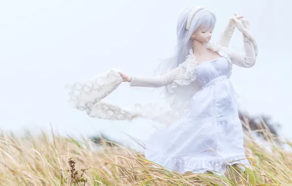 Picture field, toy, doll, dress, lilac hair