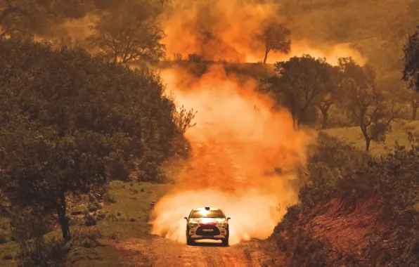 Picture Auto, Dust, Sport, Machine, Speed, Race, Citroen, Heat, WRC, Rally, Rally