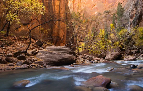 Autumn, trees, landscape, nature, river, stones, rocks, Utah