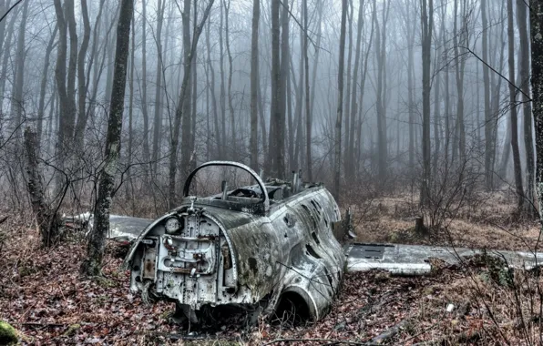 Fog, Autumn, Forest, Disaster, military, Autumn, Military, The plane