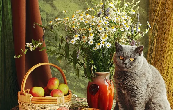 Picture cat, cat, flowers, apples, bouquet, still life, items, composition