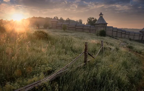 Field, forest, summer, grass, the sun, clouds, rays, glare