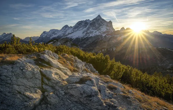 Picture the sky, the sun, trees, mountains, stones, space, space, sky