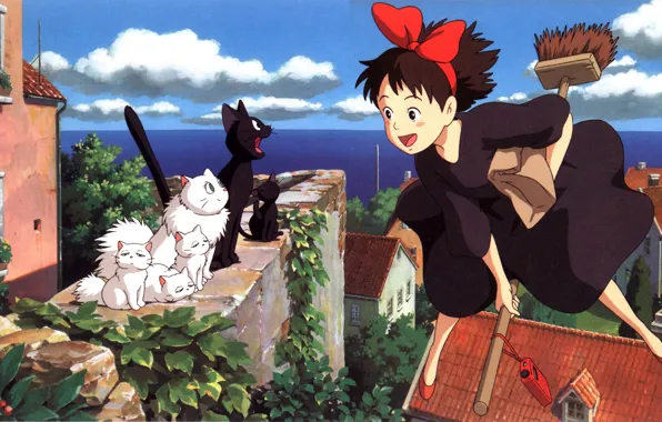 Roof, sea, cat, flight, home, kitty, black cat, MOP