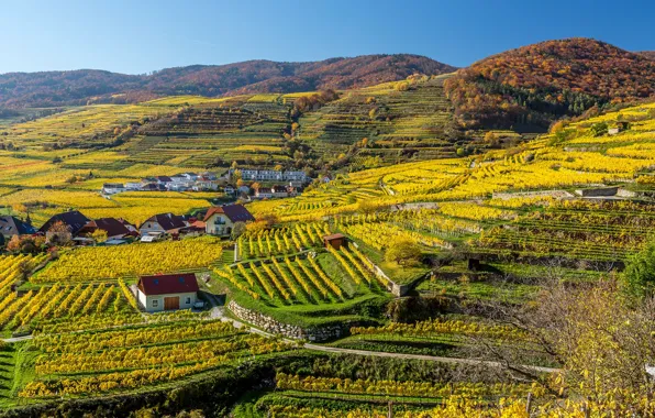 Field, the sun, hills, Austria, house, the view from the top, plantation, White churches