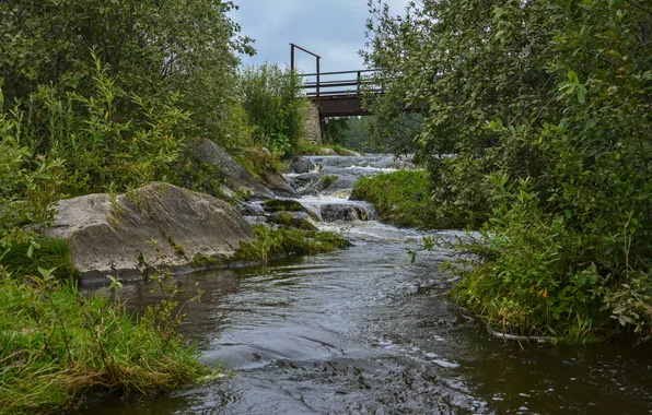 Grass, water, bridge, nature, river, stream, stones, for