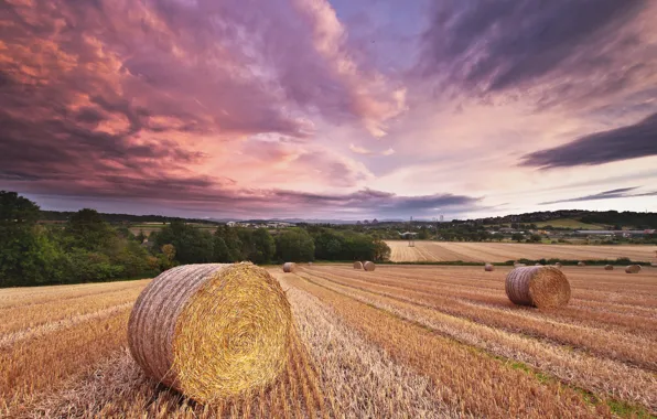 Picture field, summer, the sky, clouds, the evening, hay, straw, rolls