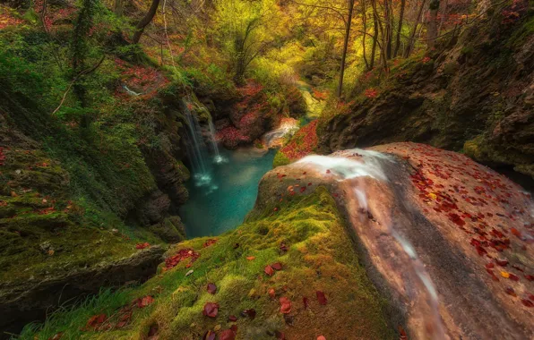 Picture autumn, landscape, nature, lake, waterfall, red leaves, trickle