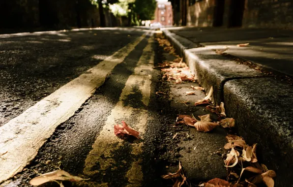 Picture leaves, the city, street