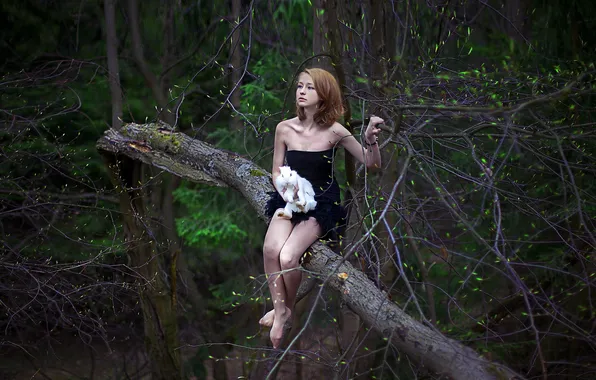 Picture girl, trees, rabbit
