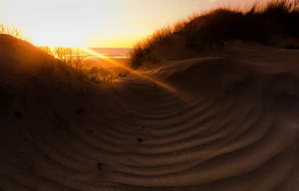 Picture sea, light, landscape, nature, morning, dunes