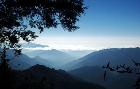 Picture the sky, mountains, nature, tops, morning mist