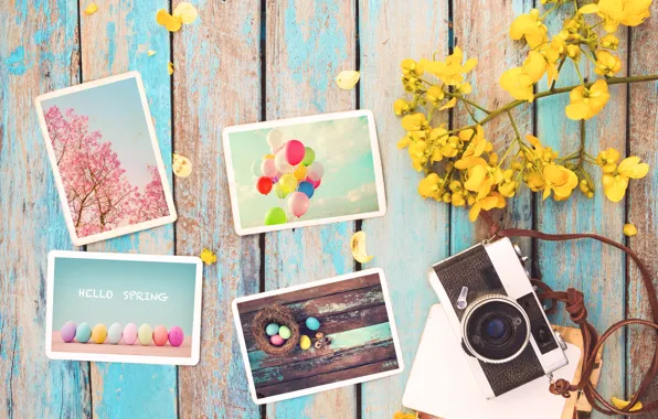 Flowers, photo, eggs, spring, camera, colorful, Easter, vintage