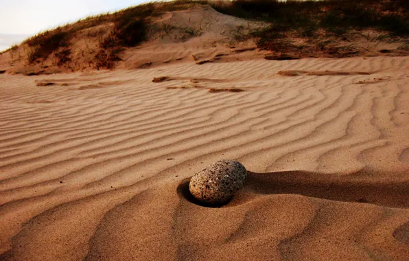 Sand, the sky, grass, stone, dunes