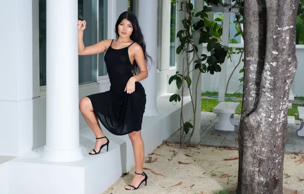 Long hair, model, gorgeous, photoshoot, posing, high heels, black dress, beautiful face
