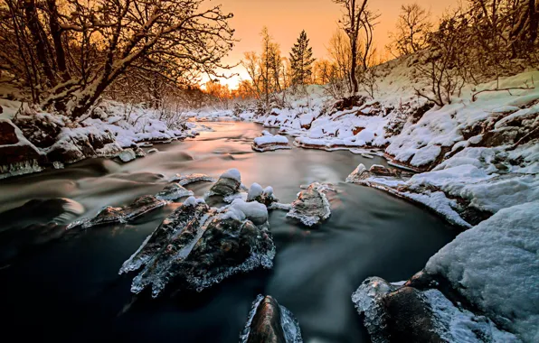 Picture ice, winter, forest, snow, trees, sunset, nature, river