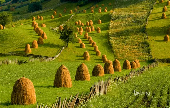 Picture grass, hills, stack, Romania, MOP, Bukovina