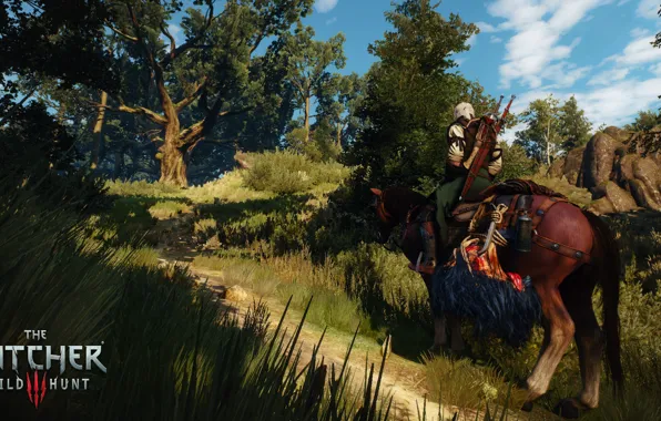 The Witcher, Geralt of Rivia, The Witcher 3 Wild Hunt