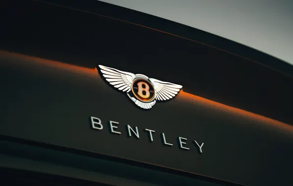 Picture coupe, Bentley, emblem, 2019, Continental GT V8