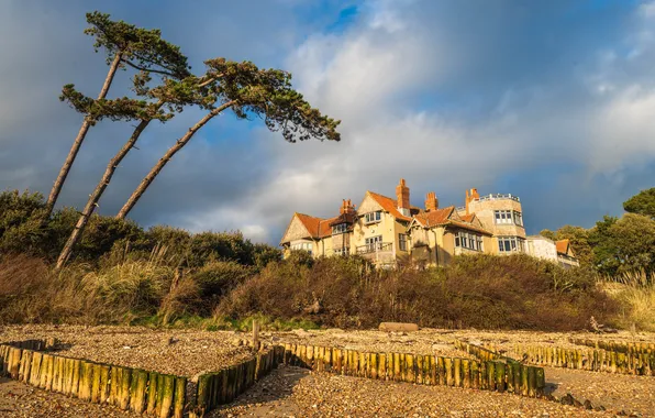 The sky, trees, house, shore, the fence, view, pine, mansion