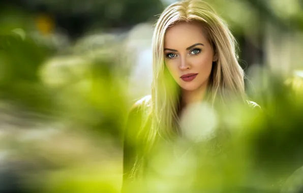 Picture greens, look, the sun, background, portrait, makeup, hairstyle, blonde