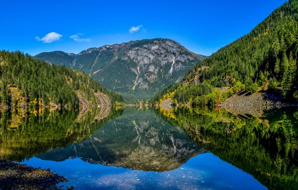 Picture forest, the sky, water, the sun, trees, mountains, lake, reflection