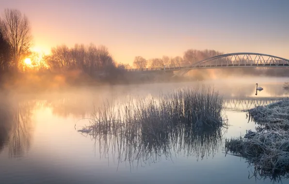 Frost, grass, trees, bridge, fog, river, sunrise, dawn