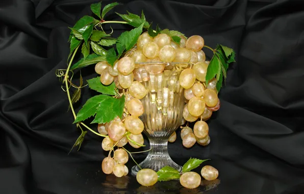 Picture grapes, still life, vase