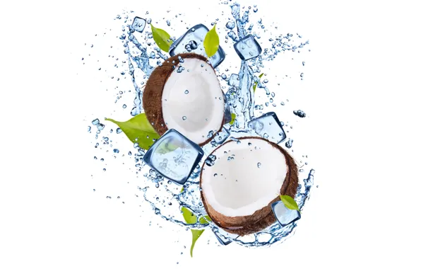 Ice, water, coconut, ice, leaves, water, coconut, leaflets