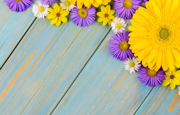Picture flowers, background, blue, chamomile, gerbera, yellow, wood, blue