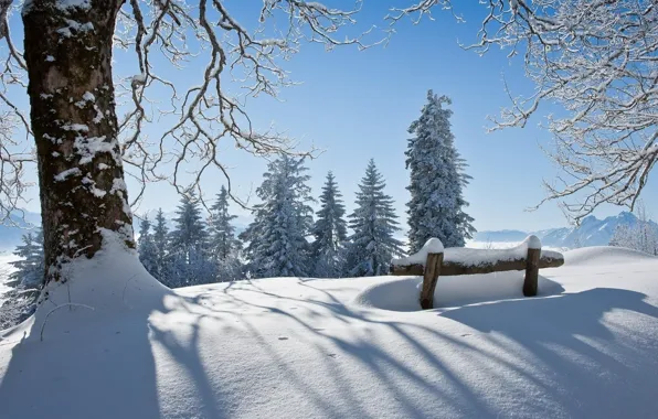 Snow, mountains, bench, tree, Winter, ate