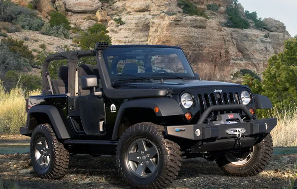 Trees, mountains, black, tuning, jeep, convertible, tuning, the front