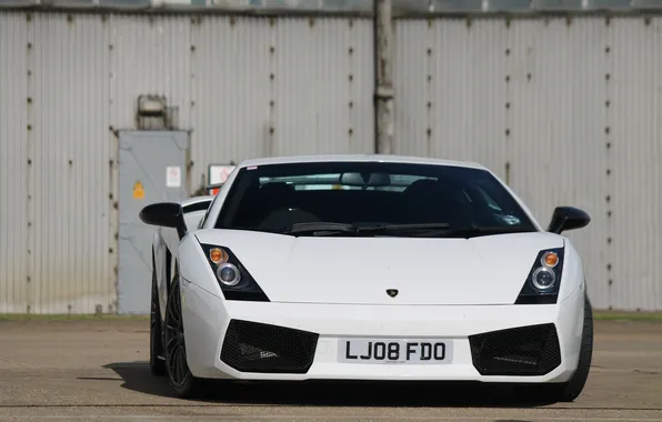 White, the building, shadow, white, gallardo, lamborghini, the front, Lamborghini