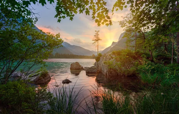 Picture forest, summer, grass, light, sunset, mountains, branches, lake