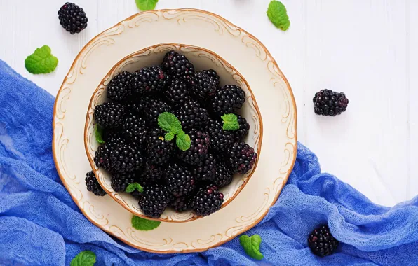Plate, BlackBerry, gauze