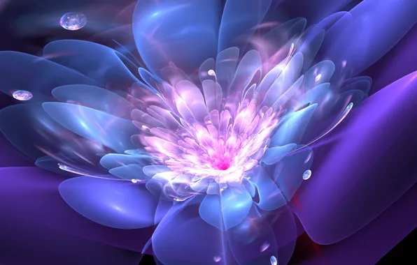 Picture flower, drops, line, abstraction, graphics, fractal