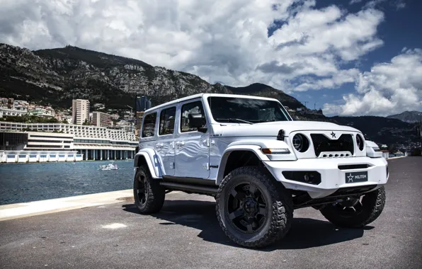 Picture shore, Wrangler, Jeep, Unlimited, 2019, Soldier, Ferōx