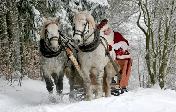 Picture winter, forest, snow, horses, horse, sleigh, Santa Claus, Santa Claus