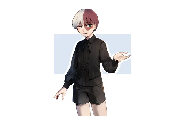 Boy, My hero Academy, Todoroki Shouto, My Hero Academia, Boku No Hero Academy, Todoroki Shoto
