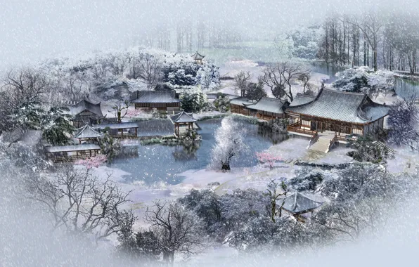 Winter, pond, village