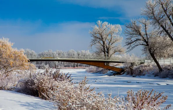 Picture bridge, snow, Albert, winter, trees, Canada