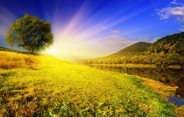 The sky, grass, water, the sun, rays, trees, nature, river