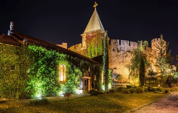 Trees, night, lights, wall, tower, fortress, the bushes, Serbia
