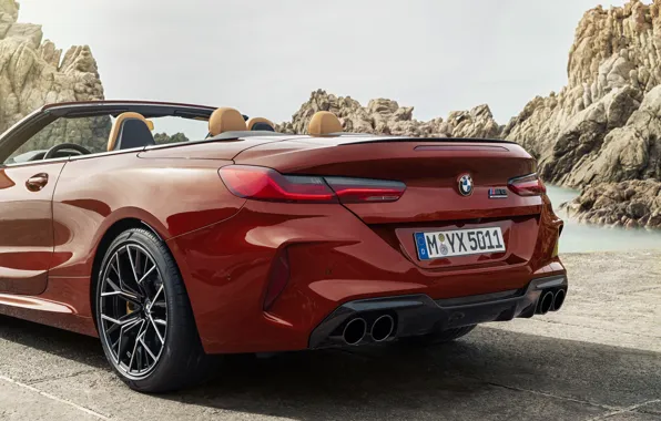 BMW, convertible, the rear part, 2019, BMW M8, M8, F91, M8 Competition Convertible