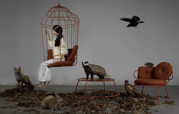 Animals, girl, animals, hare, chair, cell, brunette, Fox