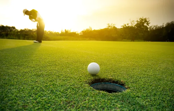 Picture grass, golf, ball