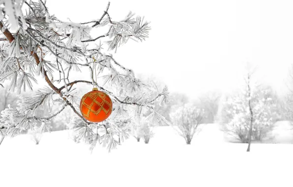 Winter, forest, snow, nature, tree, new year, Christmas, ball