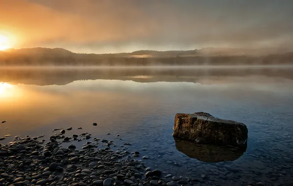 Forest, clouds, fog, pebbles, lake, reflection, stones, dawn