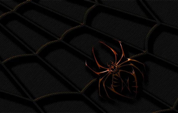 Web, Spider