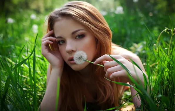 Grass, face, dandelion, Red